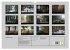 Waldkalender (Wandkalender 2026 DIN A3... - Bild 6