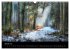 Waldkalender (Wandkalender 2026 DIN A3... - Bild 7