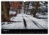 Waldkalender (Wandkalender 2026 DIN A3... - Bild 8