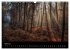 Waldkalender (Wandkalender 2026 DIN A3... - Bild 10
