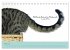 Katzenzitate 2026 (Tischkalender 2026... - Bild 11