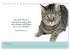 Katzenzitate 2026 (Tischkalender 2026... - Bild 14