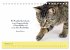 Katzenzitate 2026 (Tischkalender 2026... - Bild 3