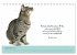 Katzenzitate 2026 (Tischkalender 2026... - Bild 5