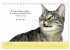 Katzenzitate 2026 (Tischkalender 2026... - Bild 7
