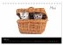 Katzenbabys (Tischkalender 2026 DIN A5... - Bild 11