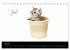 Katzenbabys (Tischkalender 2026 DIN A5... - Bild 13