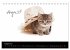 Katzenbabys (Tischkalender 2026 DIN A5... - Bild 14