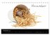 Katzenbabys (Tischkalender 2026 DIN A5... - Bild 4