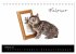 Katzenbabys (Tischkalender 2026 DIN A5... - Bild 8