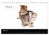 Katzenbabys (Tischkalender 2026 DIN A5... - Bild 9