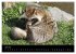 Marderhunde (hochwertiger Premium... - Bild 11