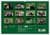 Marderhunde (hochwertiger Premium... - Bild 5