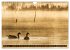 KANADA-GANS - Der 'hupende' Vogel... - Bild 3
