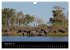 Naturerlebnis Botswana (Wandkalender... - Bild 15