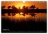 Naturerlebnis Botswana (Wandkalender... - Bild 3