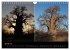 Naturerlebnis Botswana (Wandkalender... - Bild 7