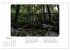 Max Dauthendey - Mit dem Wald durchs... - Bild 11