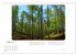 Max Dauthendey - Mit dem Wald durchs... - Bild 9
