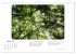 Max Dauthendey - Mit dem Wald durchs... - Bild 10