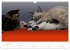 Katzenbabys beobachtet (Wandkalender... - Bild 14