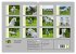 Traumpferd Lipizzaner (hochwertiger... - Bild 5