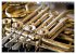 Das Horn, ein herrliches Instrument... - Bild 3