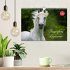 Traumpferd Lipizzaner (Wandkalender... - Bild 2