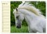 Traumpferd Lipizzaner (Wandkalender... - Bild 3