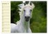 Traumpferd Lipizzaner (Wandkalender... - Bild 5