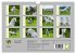 Traumpferd Lipizzaner (Wandkalender... - Bild 6