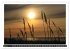 Nordsee & Ostsee (hochwertiger Premium... - Bild 10