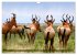 Namibia - Die Tierwelt (Wandkalender... - Bild 11