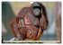 Affen - Affenkinder (Wandkalender 2026... - Bild 5