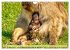 Affen - Affenkinder (Wandkalender 2026... - Bild 9