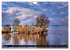 Am Steinhuder Meer (Wandkalender 2026... - Bild 11