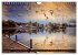 Am Steinhuder Meer (Wandkalender 2026... - Bild 8