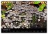 Pilze, Pilze (Tischkalender 2026 DIN A5... - Bild 15