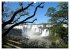 Mein Südamerika, mein Iguazu... - Bild 8