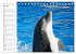 Delfine - Lächelnde Intelligenz... - Bild 13