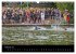 Fascination Triathlon (Wandkalender... - Bild 8