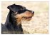 Faszination Terrier (Wandkalender 2026... - Bild 15