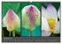 MEDITATION Zeit für mich (Wandkalender... - Bild 3