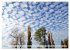 Wolke 7 (hochwertiger Premium... - Bild 8