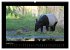 Wildtiere (hochwertiger Premium... - Bild 13