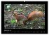 Wildtiere (hochwertiger Premium... - Bild 14