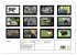 Wildtiere (hochwertiger Premium... - Bild 5
