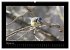 Wildtiere (hochwertiger Premium... - Bild 7