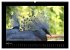 Wildtiere (hochwertiger Premium... - Bild 9