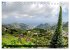 Teneriffas rauer Norden (Tischkalender... - Bild 11